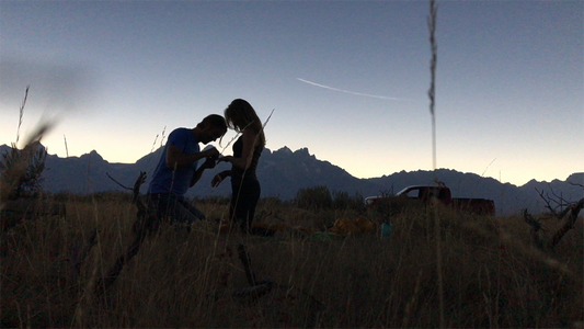 Eclipse Engagement: Proposing During the Moment of Totality