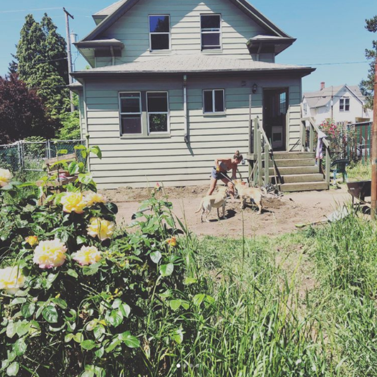 Tools and Apparel Needed For a Home House Renovation