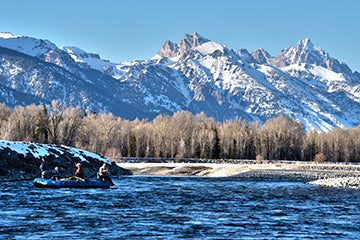 Flippin' Flys With Frozen Lines
